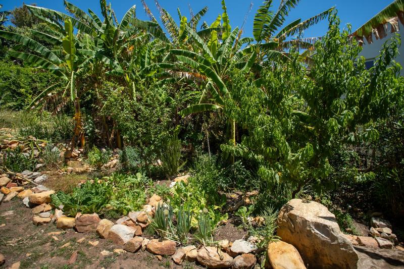 To Let 5 Bedroom Property for Rent in Hobie Beach Western Cape